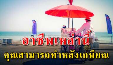 อาชีพ 15 อย่าง ที่คุณสามารถทำหลังเกษียณได้