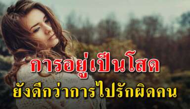 (เรื่องนี้เขียนได้ดีมาก) การที่อยู่เป็นโสด ยังดีกว่าการที่คุณไปรักผิดคน