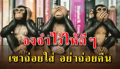 จงรู้ไว้เมื่อมีคนทำตัวต่ำใส่เรา เราอย่าไปทำตัวต่ำสวน
